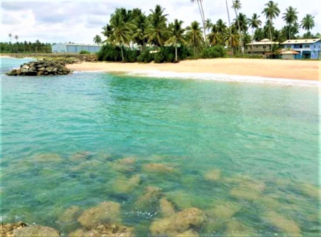 Sea Shell Villa Hikkaduwa 2 Separate Cabanas Ocean Front Villa Bagian luar foto